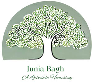 Junia Bagh Logo